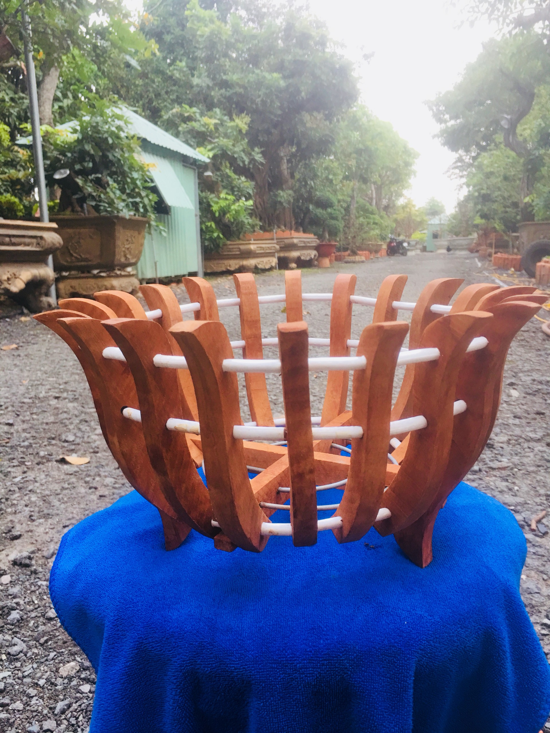 Chậu gỗ căm xe trồng lan phi 30cm