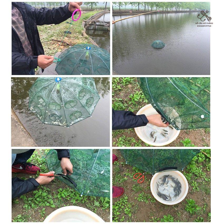 Lưới Bát Quái Bắt Cá, Tôm, Cua, Lươn, Trạch Lồng bát quái