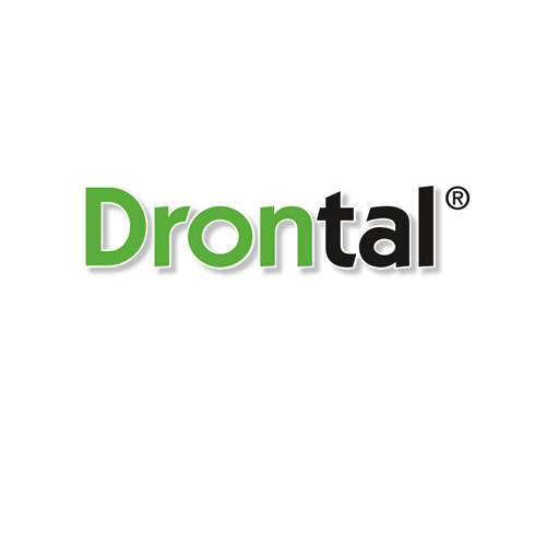 Drontal xổ giun sán trên chó (1 hộp x 24 viên)