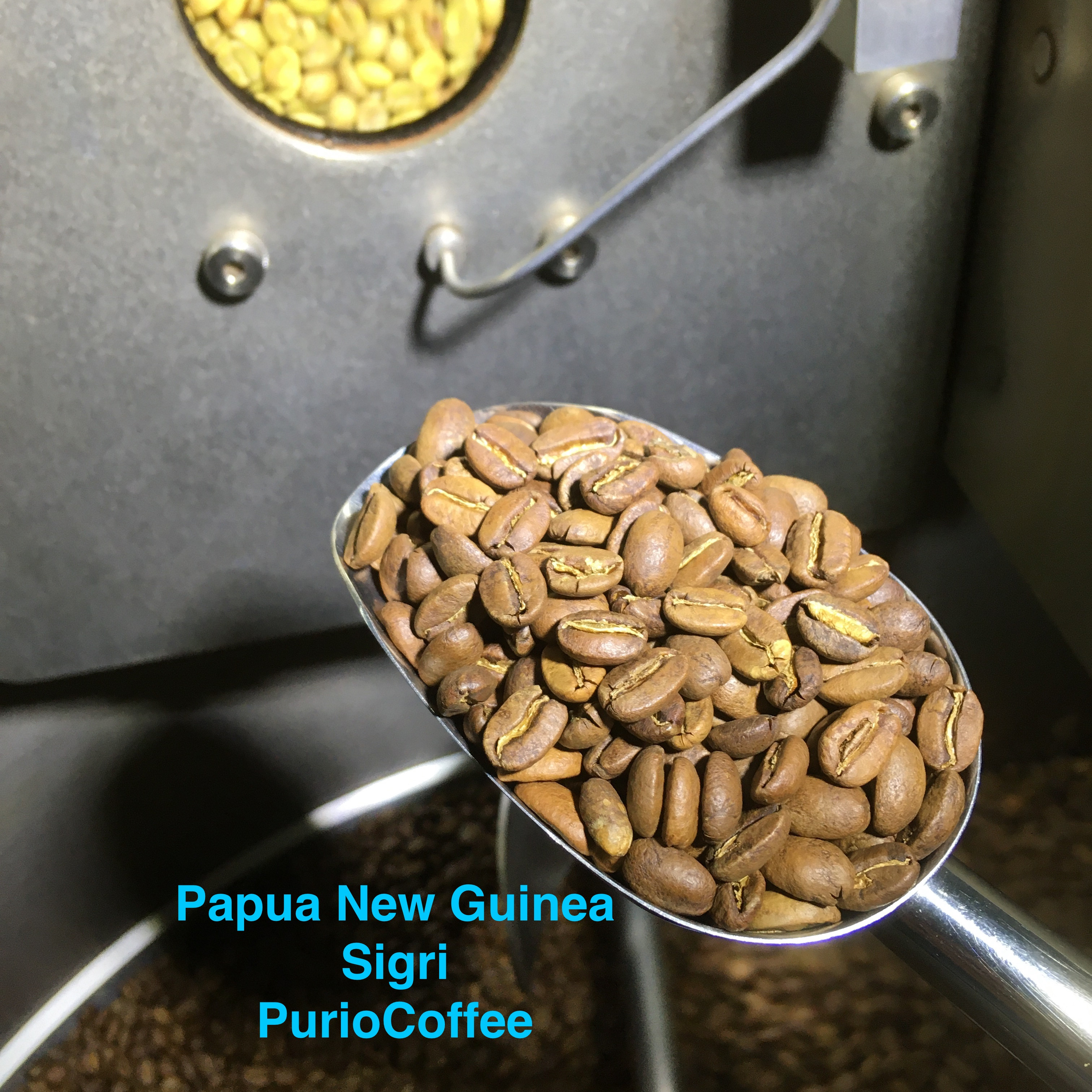 Purio Specialty Coffee - Cà phê hạt Papua New Guinea (PNG) lon 250gr