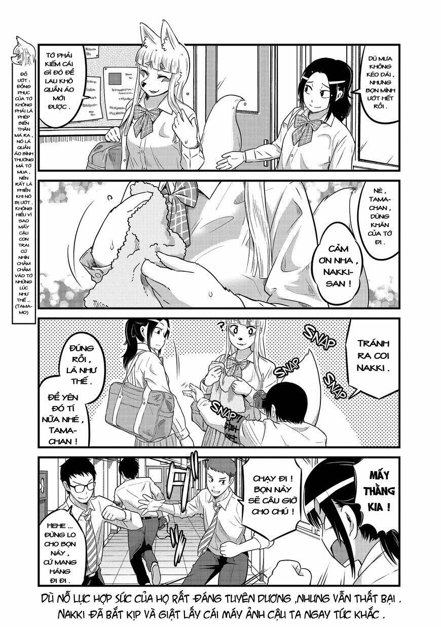 high school inari tamamo-chan ! chapter 20 6