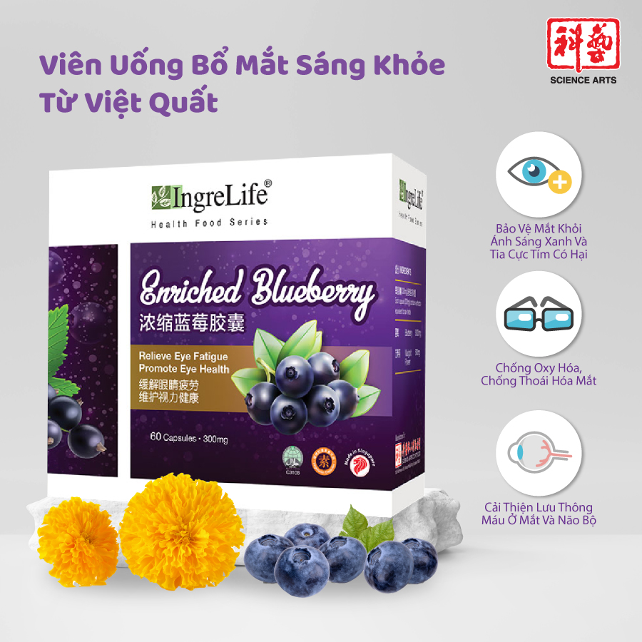 Viên Uống Bổ Mắt Từ Việt Quất IngreLife Singapore Ngăn Thoái Hóa Tăng Cường Thị Lực Chống Lại Tia Cực Tím Enriched Blueberry - Hộp 60 Viên