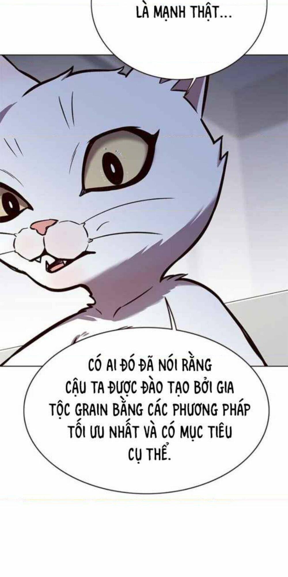 biến thân thành mèo chapter 154 37