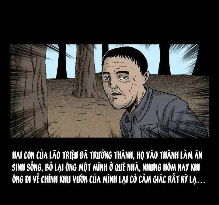 kỳ án có thật chapter 24 5