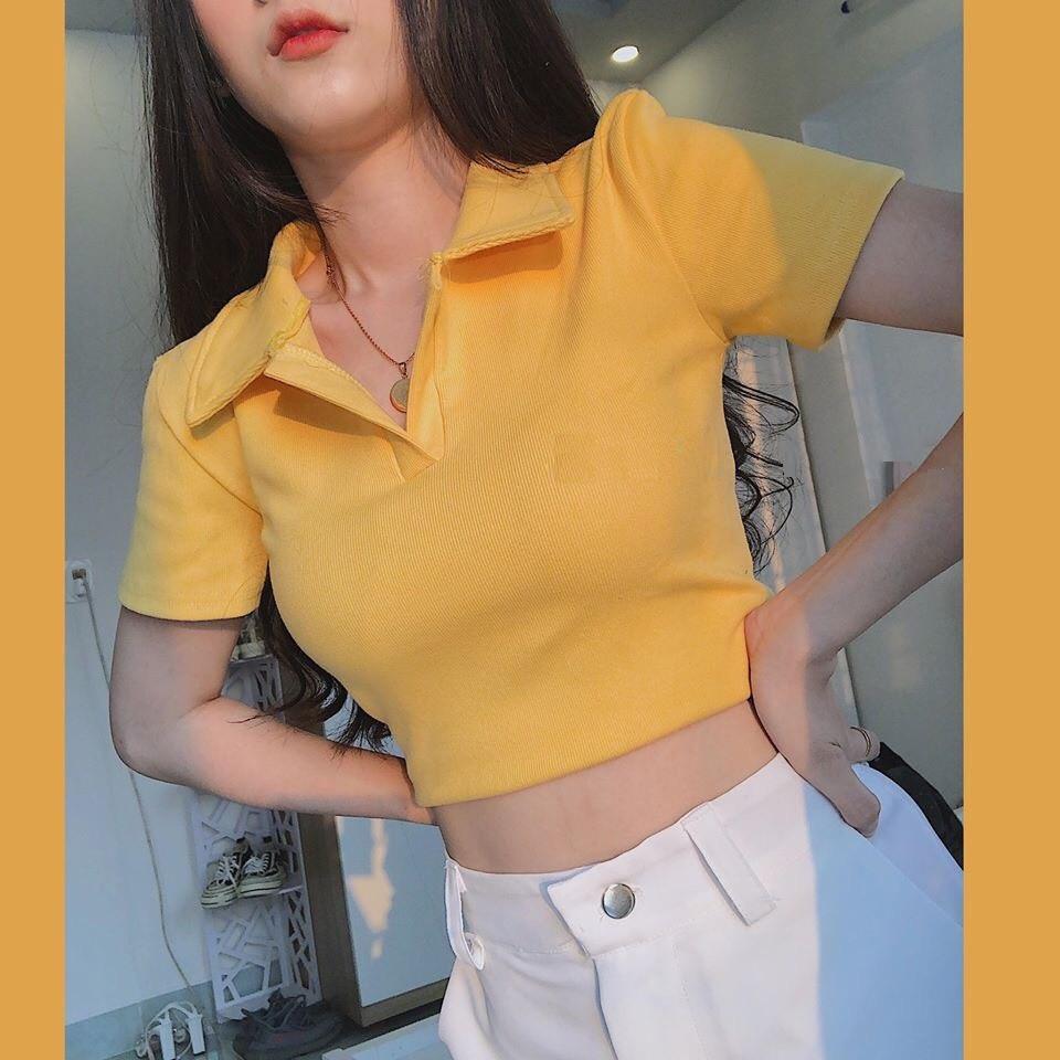 Áo thun crotop Polo Basic nữ JOY BABE  vải xịn co giãn 4 chiều  tag Forever 21 trơn đen trắng cổ trụ bẻ ôm CRON 11 -4E