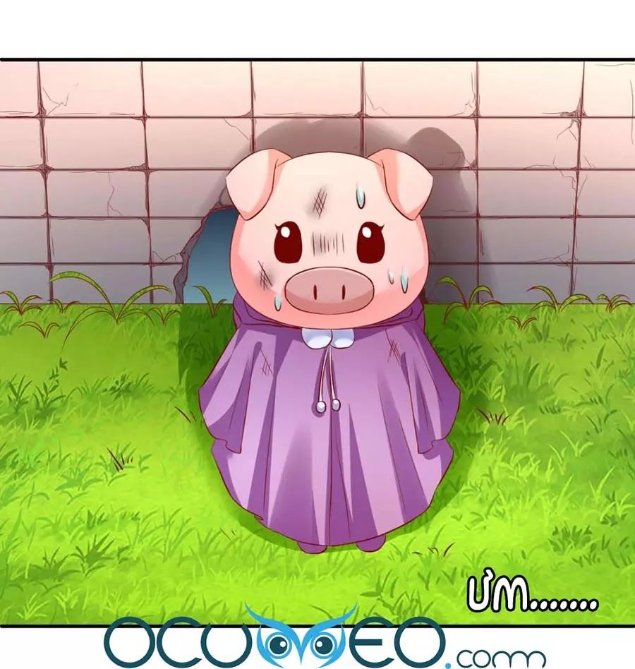 từ đây vương gia không thượng triều sớm chapter 85 48