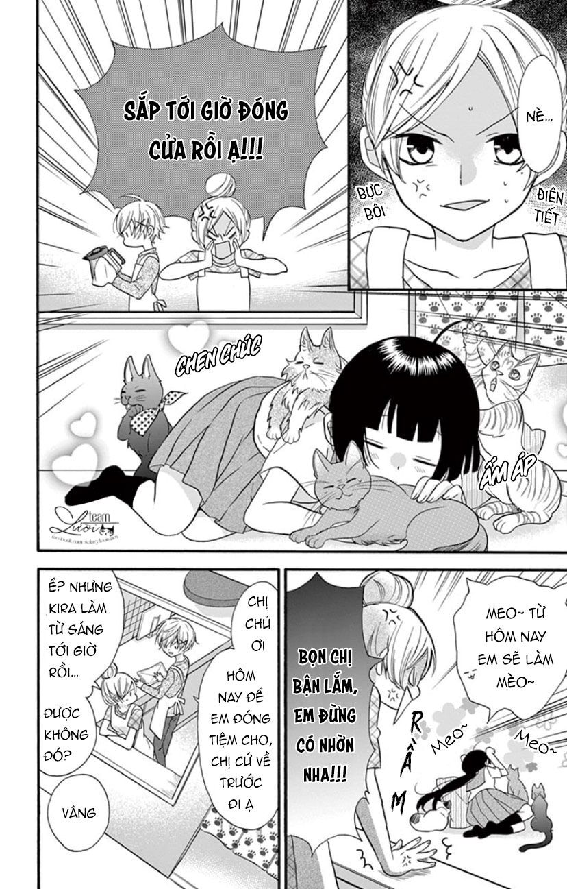 chàng rể giả nhân giả nghĩa chapter 19 13