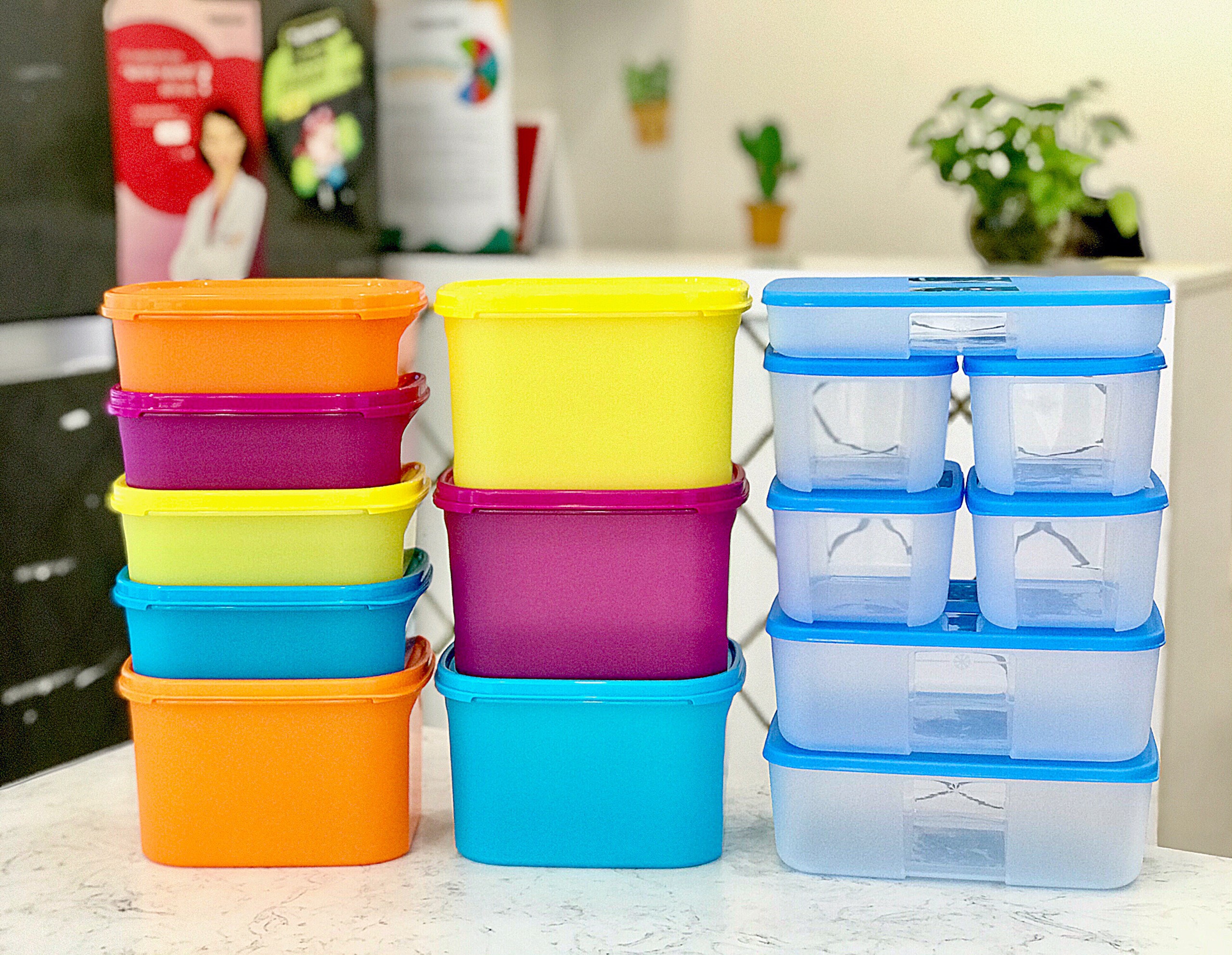 Bộ hộp trữ đông và trữ mát Tupperware Rainbow Color (15 hộp)