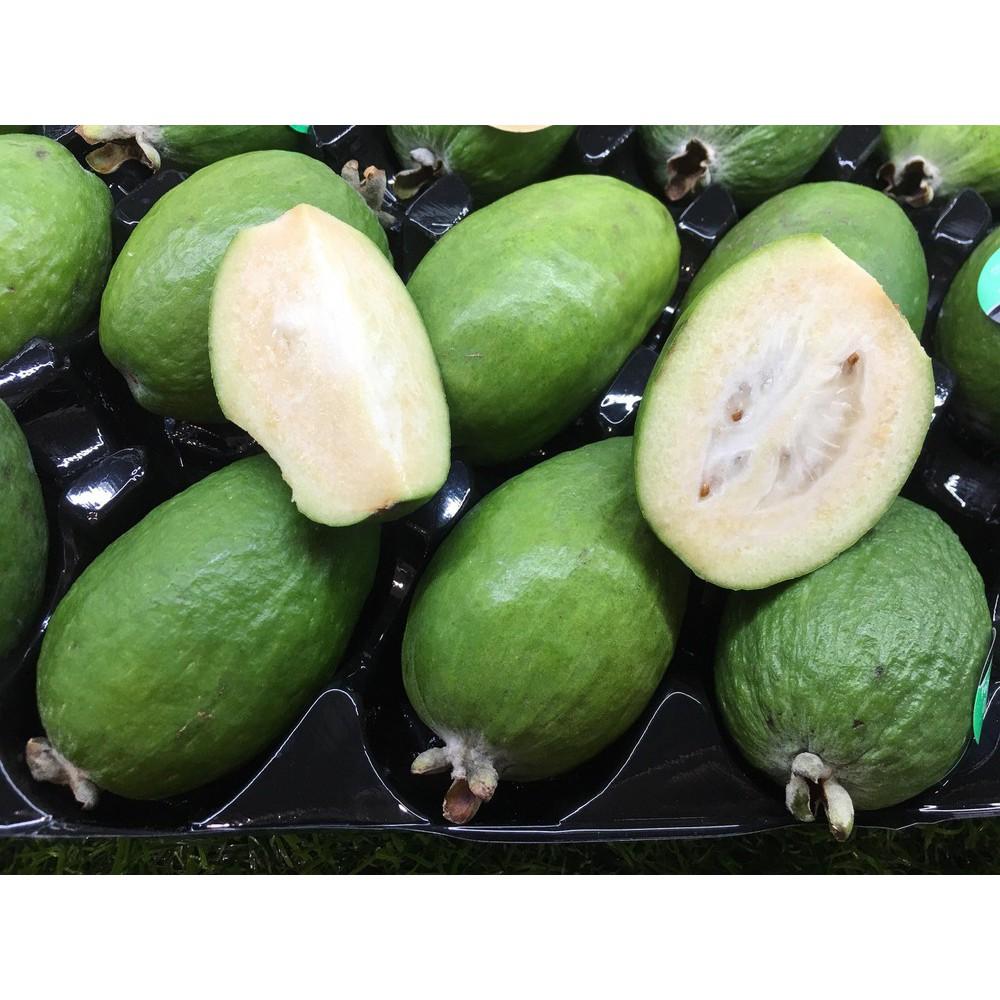 Cây giống ổi dứa