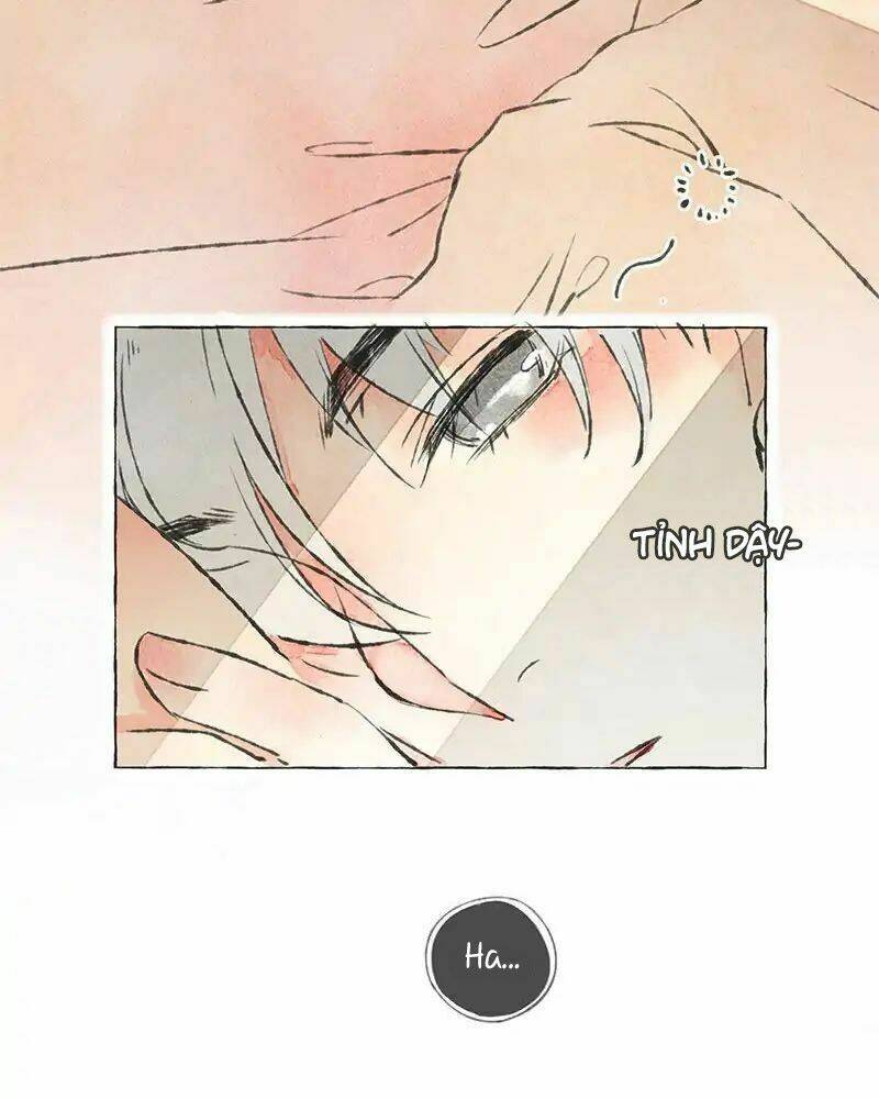 bắt đầu từ 1 lời nói dối chapter 0 29