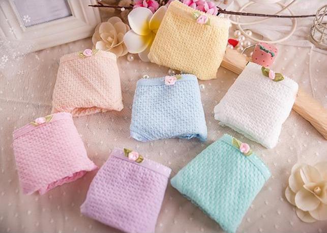 Combo 7 quần lót nữ Cotton QL 8108-2