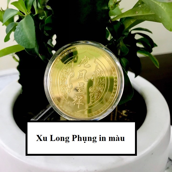 Xu Long Phụng in màu, chất liệu Niken mạ màu vàng, đem theo bên người, trưng bày bàn sách, giúp mang lại may mắn, ấm êm, tường hòa - TMT Collection - SP005156