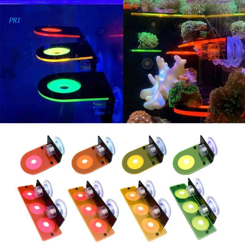 Giá đỡ san hô Acrylic Màu Dạ Quang - frag san hô- Scol bể cá san hô có hít kính - phụ kiện hồ nước mặn -shopleo