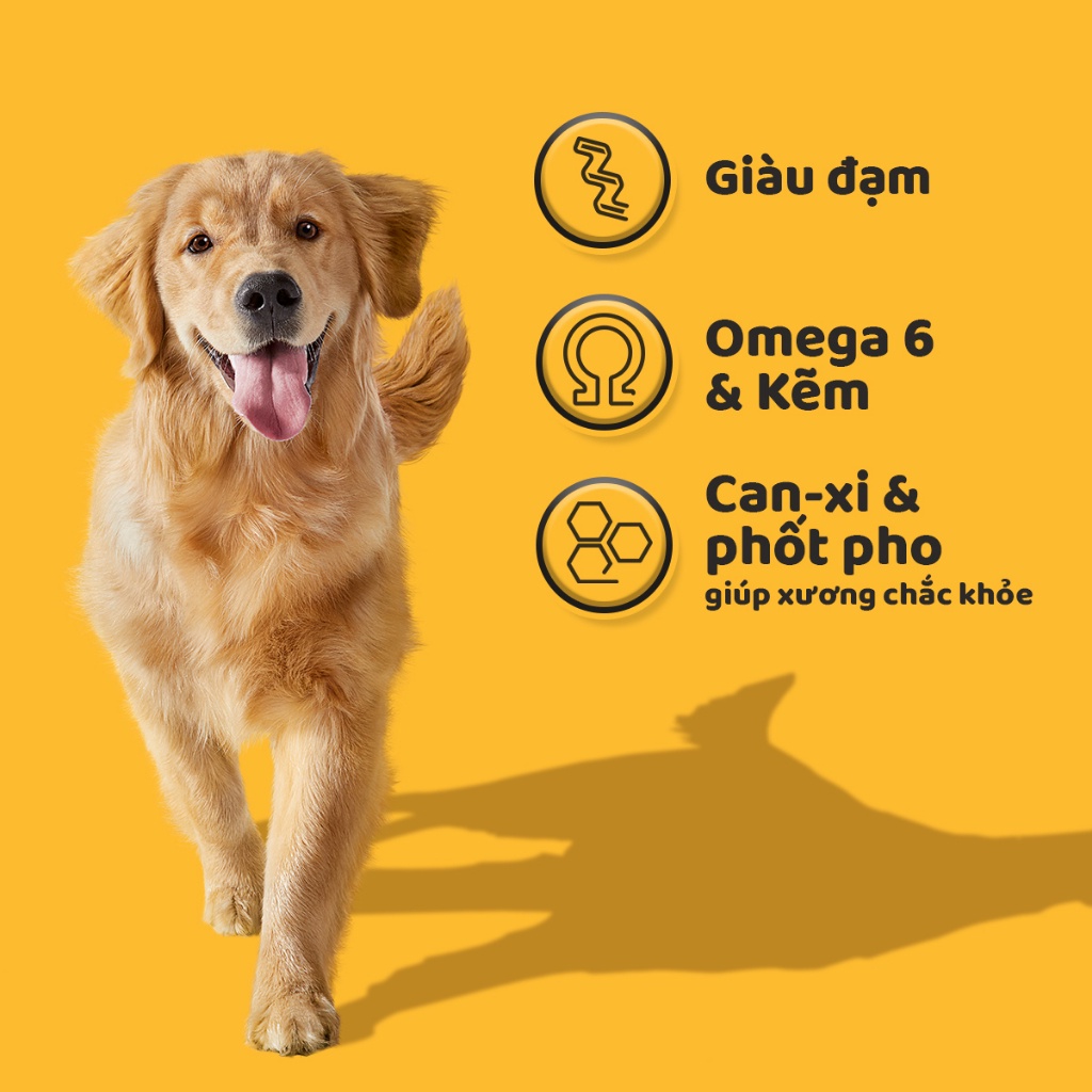 Bộ 2 túi thức ăn PEDIGREE cho chó lớn dạng hạt 1.5kg