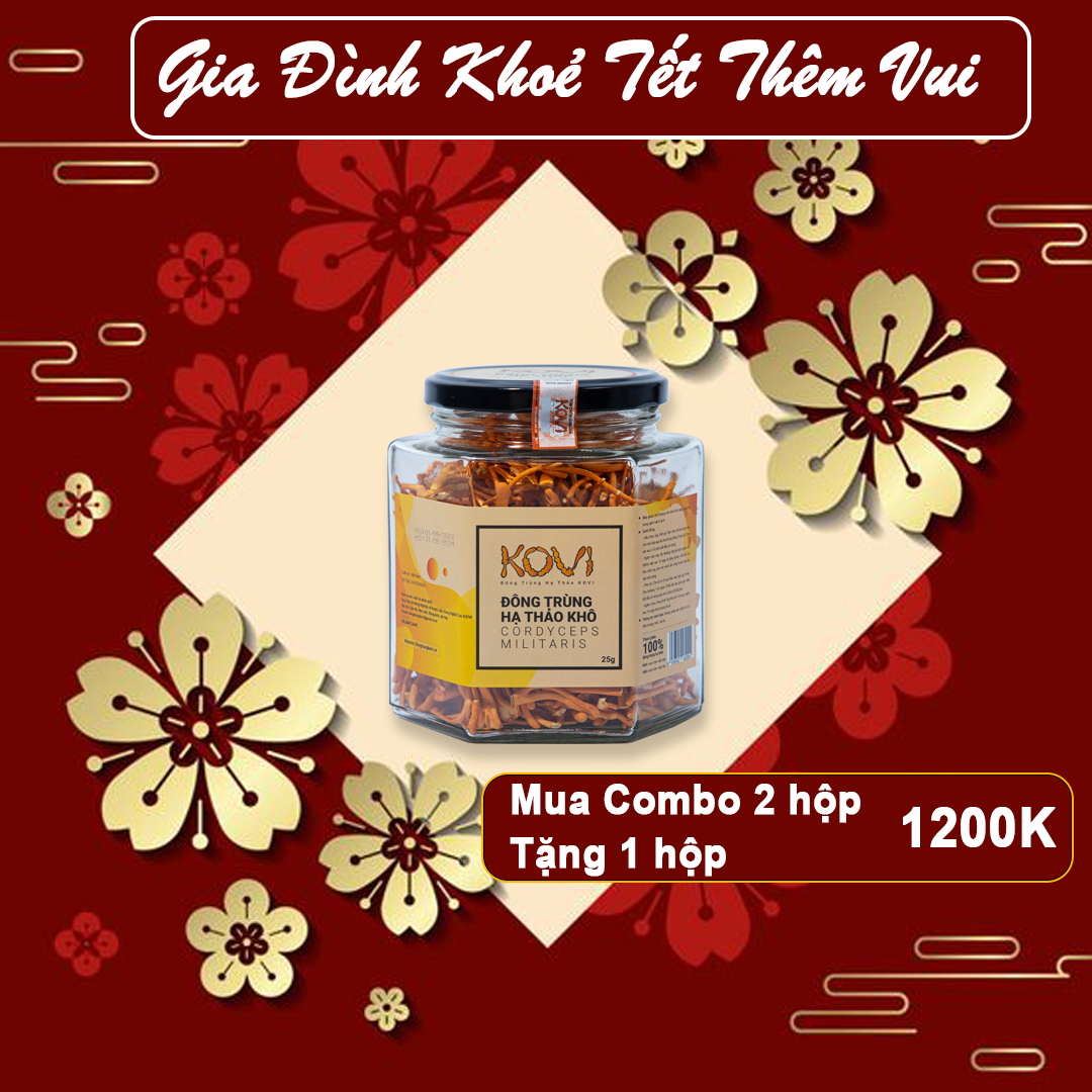 Combo đông trùng hạ thảo khô 25g mua 2 được 3