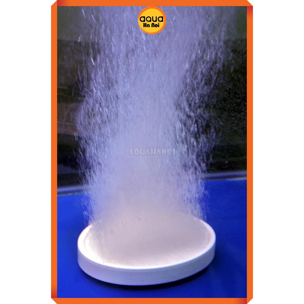 Đĩa sủi oxy siêu mịn hồ cá thủy sinh - ultra nano 50mm/150mm