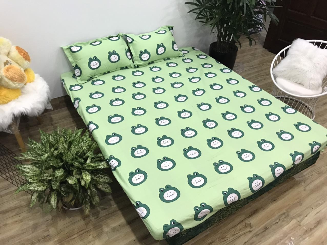 Set Ga Gối 3 Món Cotton Poly Hình Ếch Xanh ( gồm 1 ga chun và 2 vỏ gối nằm)