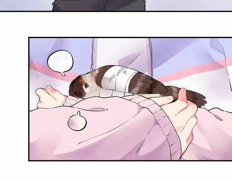 sos! tôi đã yêu một con sâu bướm (phần 2) chapter 26 5