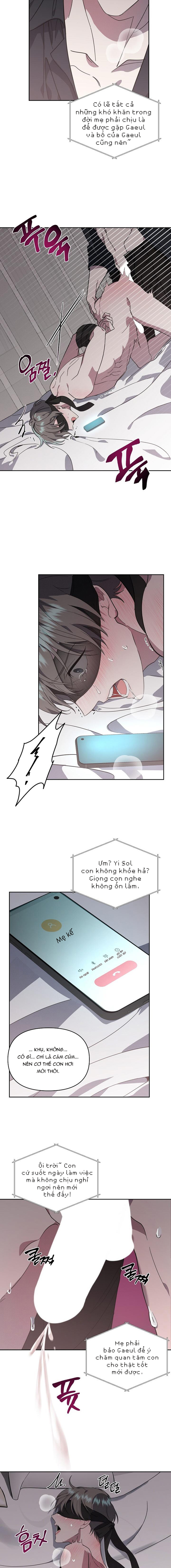 marigold dilemma chapter 3 3