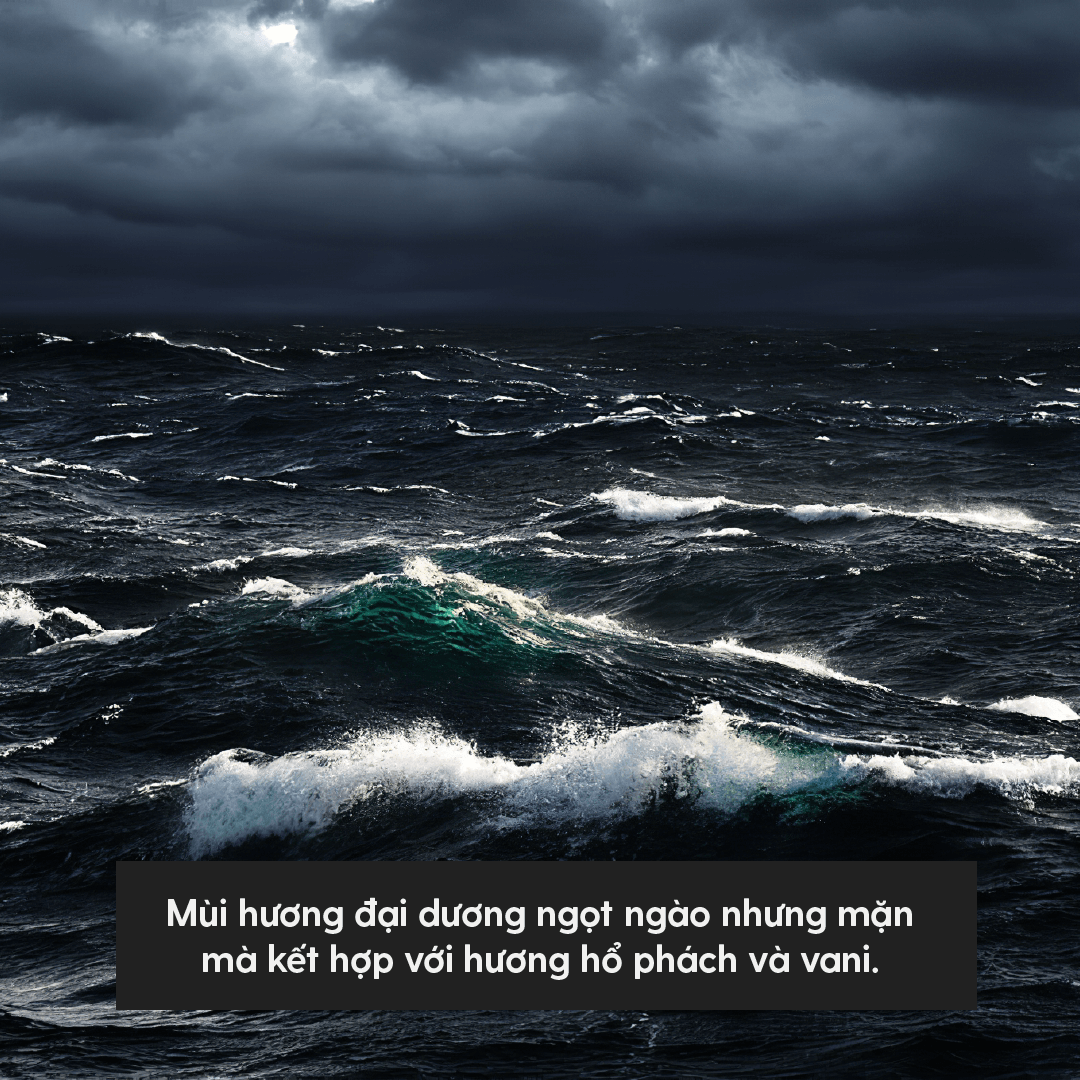 Tinh Dầu Thơm Black Ocean Heny Garden – Tinh Dầu Phối Hương Xông Phòng, Làm Nến Thơm Handmade, Giúp Giảm Stress & Khử Mùi Hiệu Quả – Tặng Mẫu Thử Tinh Dầu Với Mỗi Đơn Hàng