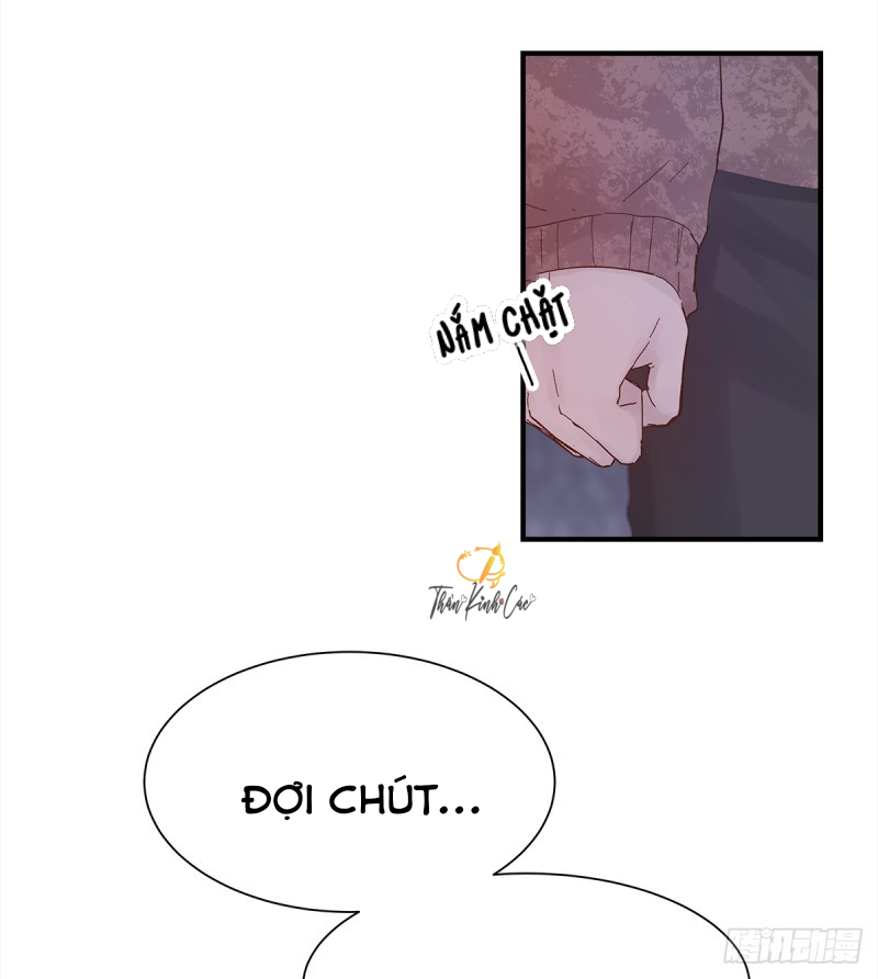 mối tình đầu gian nan của chu thành nhất chapter 39 52