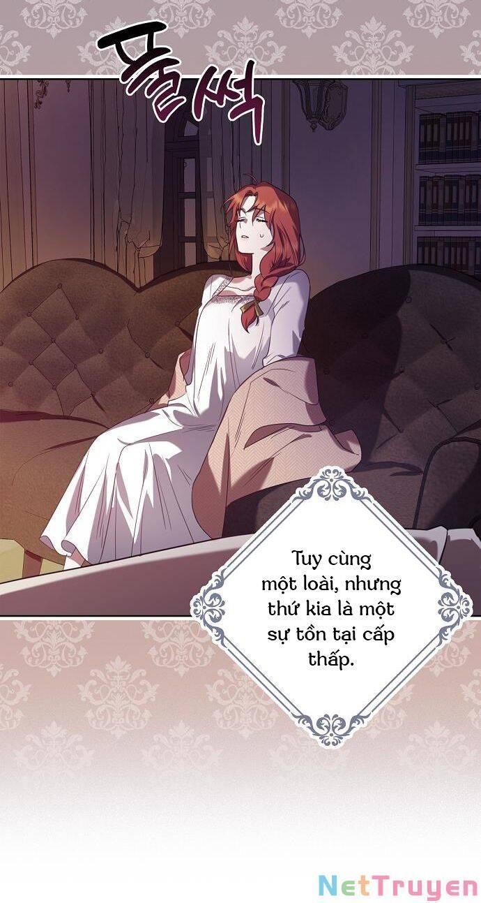 cuộc sống giản dị của người độc thân bị bỏ rơi chapter 6 53