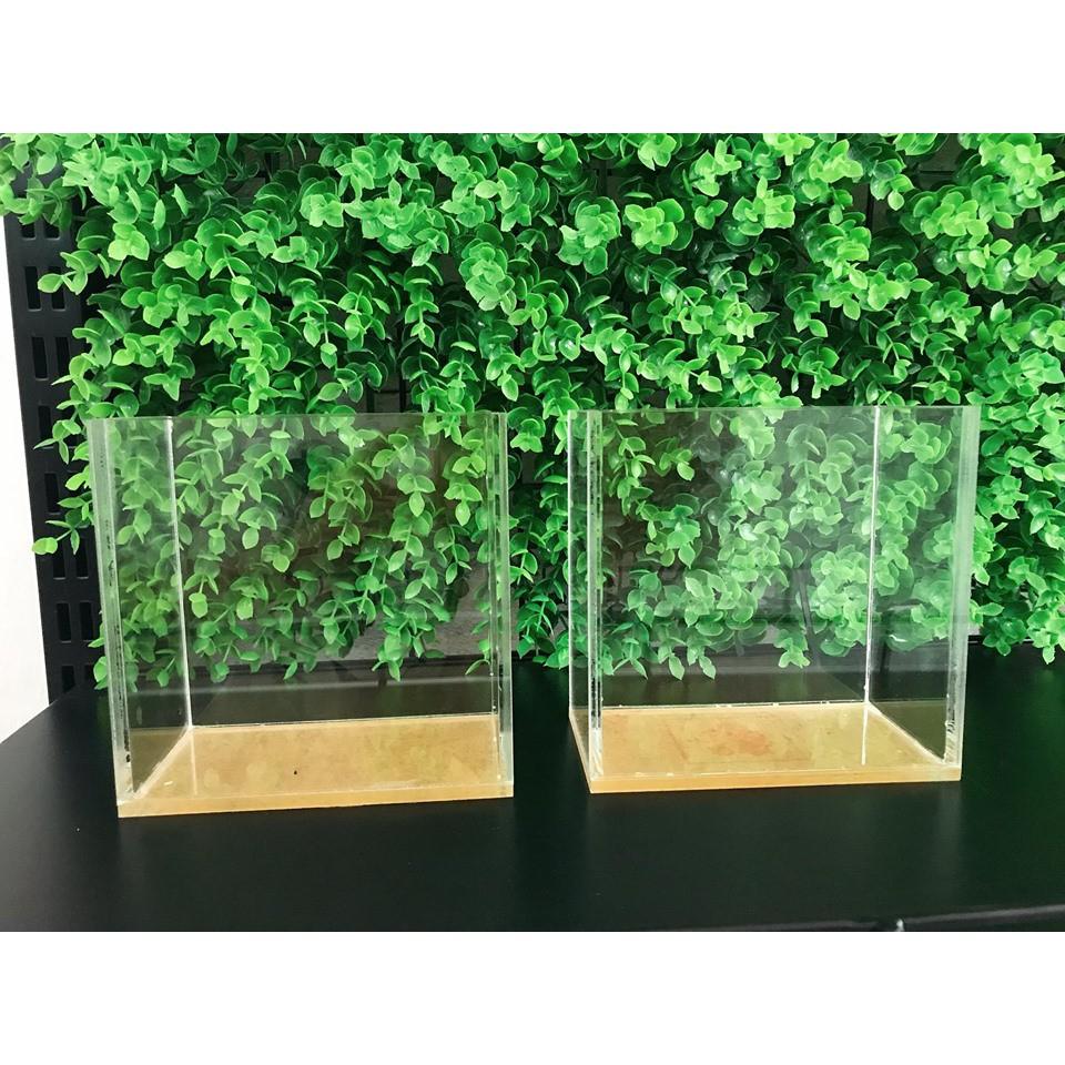 Hồ show cá, keo show Guppy Betta, Bể mini acrylic, Dày 3mm, nhiều kích thước - Tròng suốt