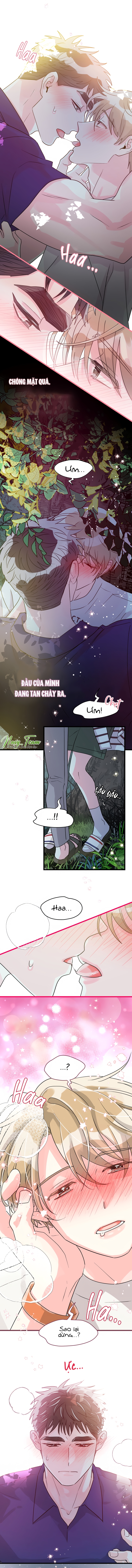 cậu thích tôi mà chapter 2 6