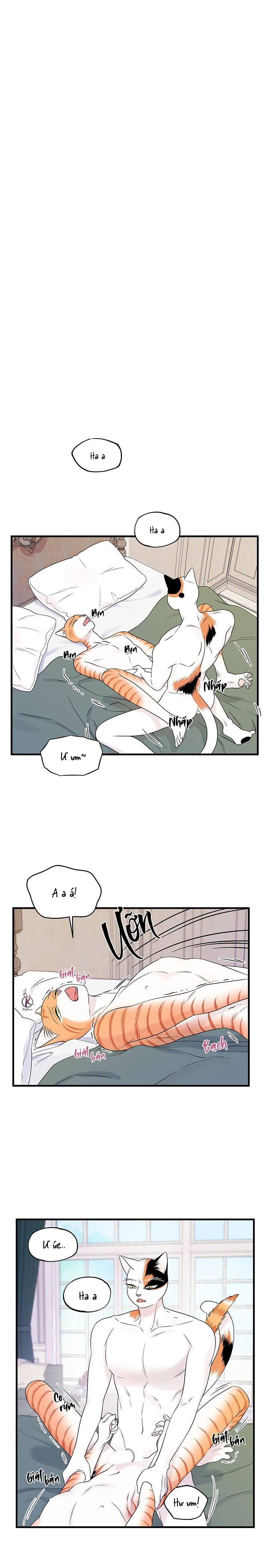 dự án xanh chapter 39 1