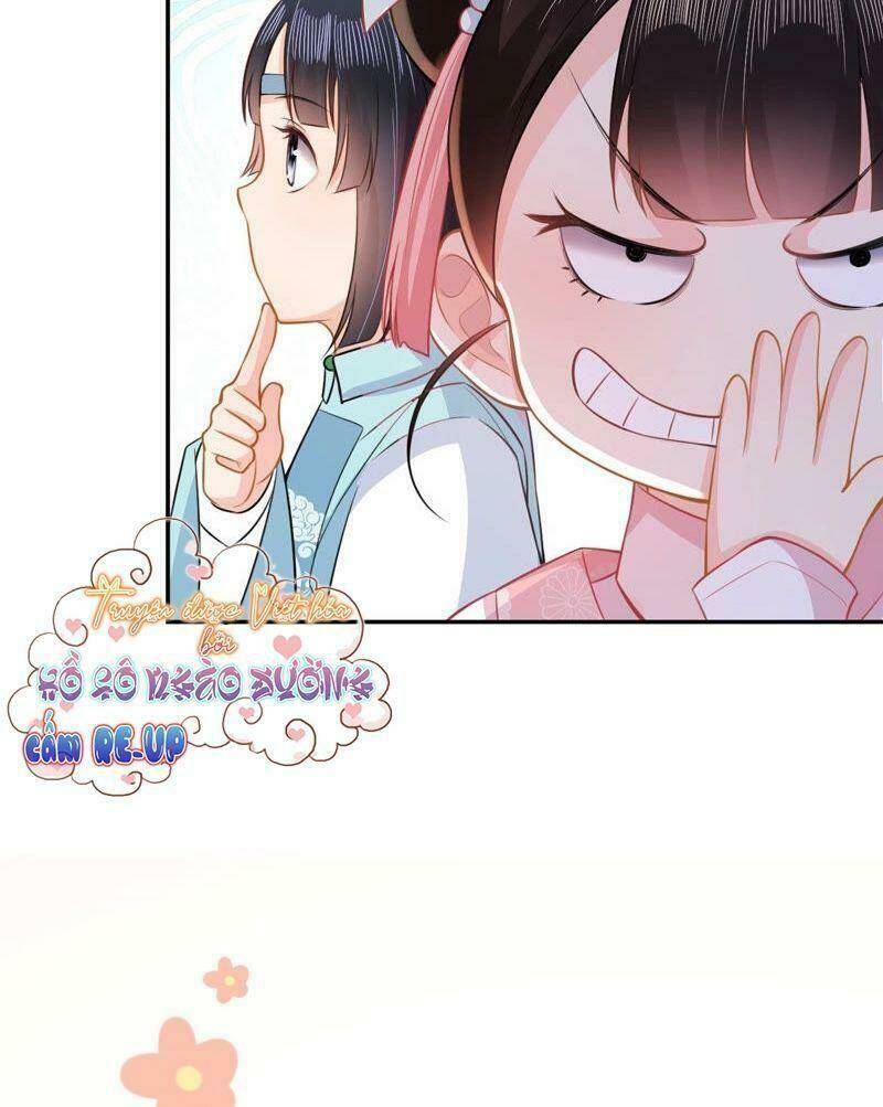 quận chúa vững vàng, thiết lập nhân vật không thể vỡ chapter 19 24