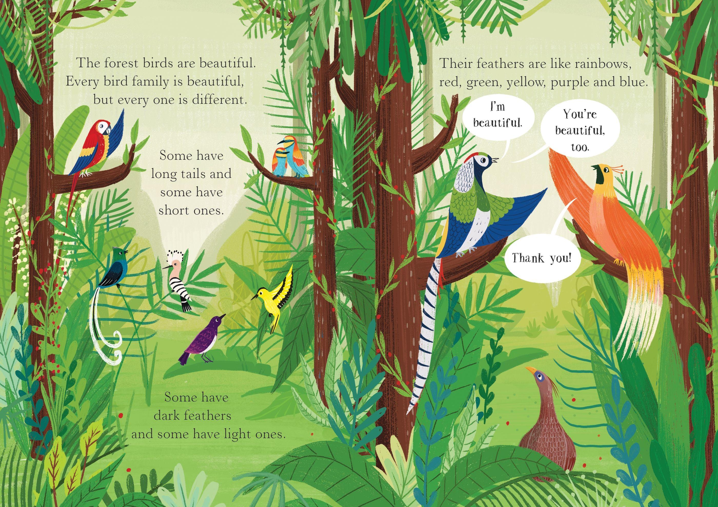 Usborne English Readers Starter Level: The Rainbow Coat