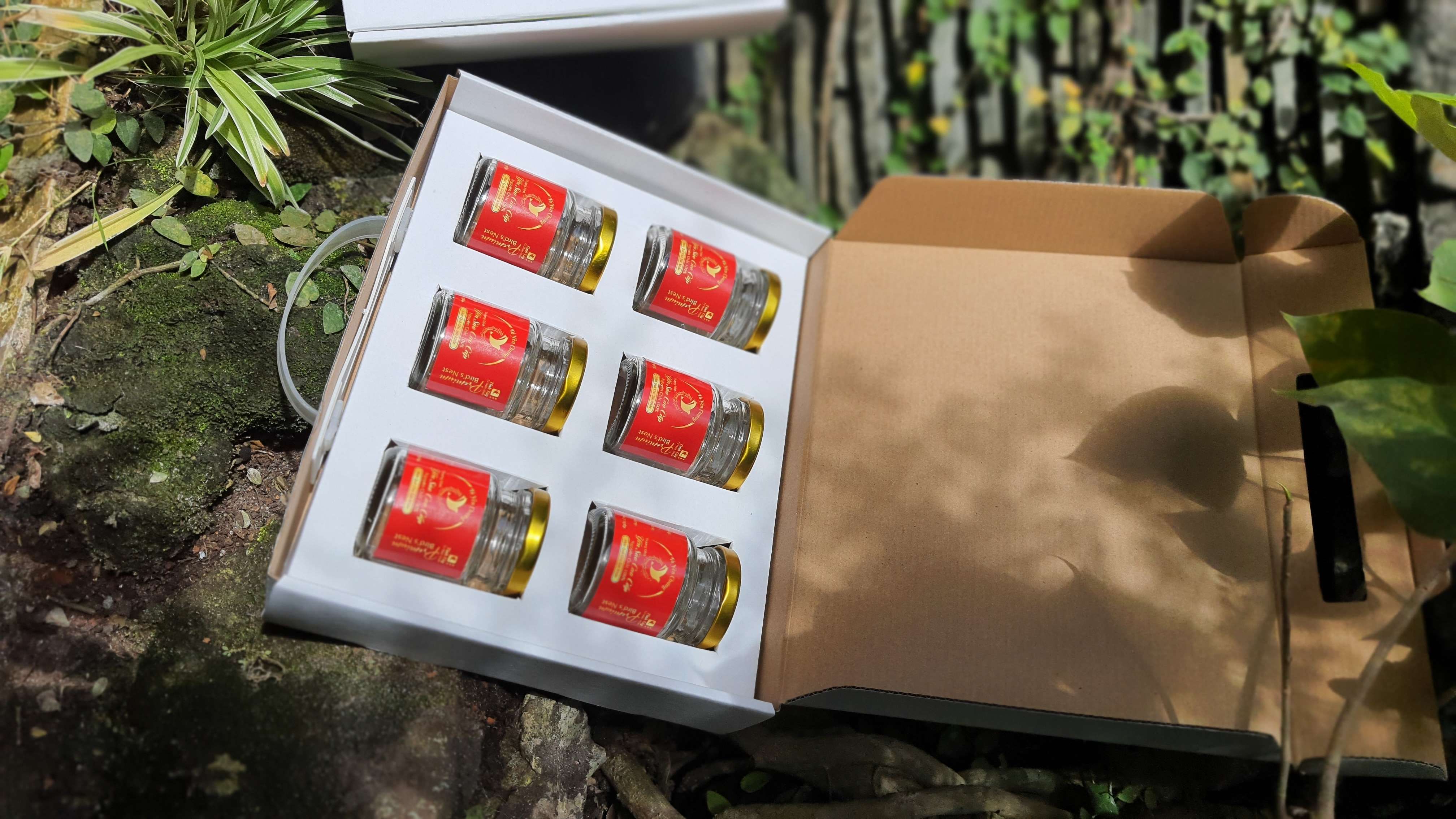 Hộp đựng 6 hủ yến chưng cao cấp