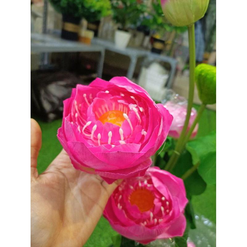 Cành sen giả,sen thái cánh kép cao 77cm,lụa cao cấp, lá in 3D-hoaluaminhhoa