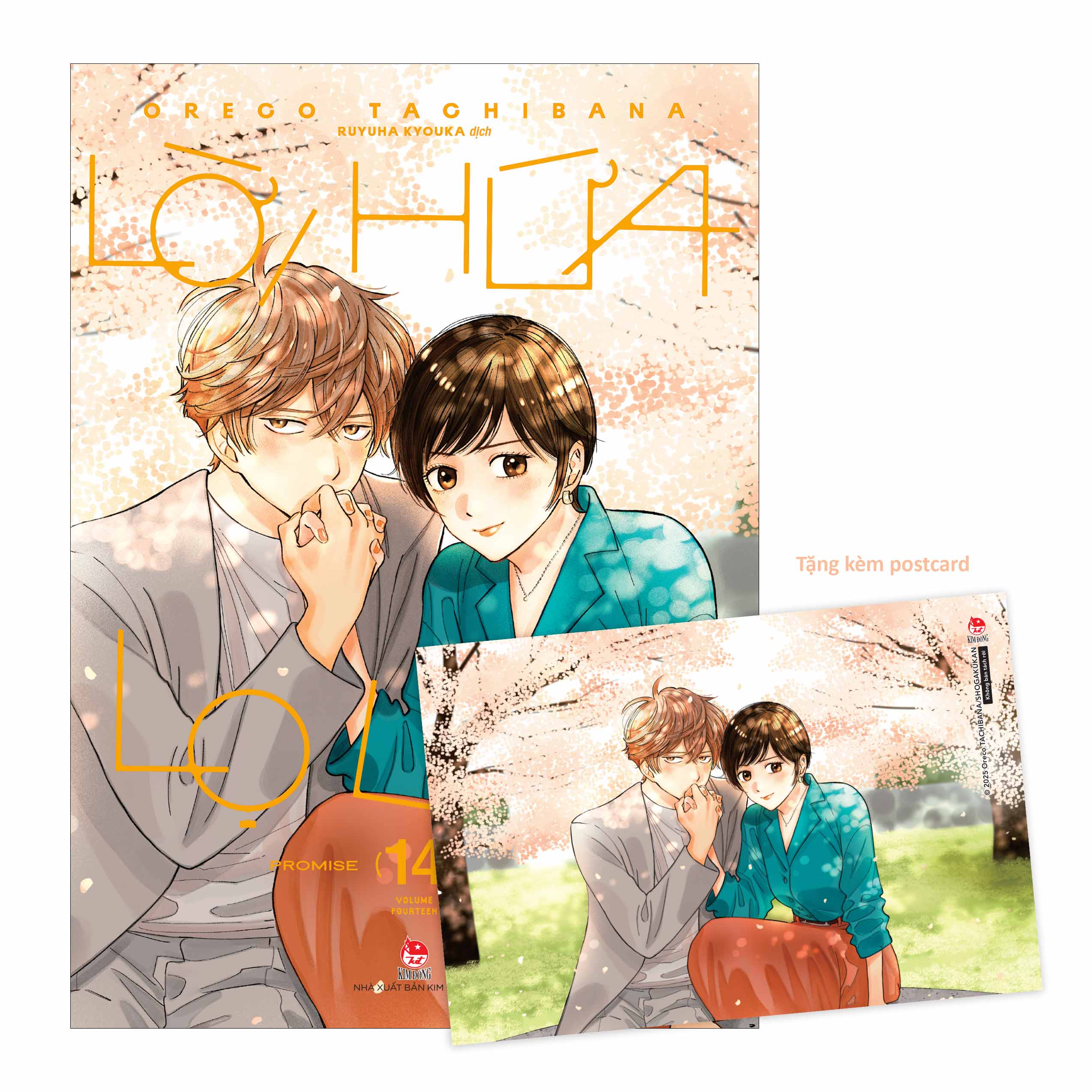 Lời Hứa Lọ Lem – Tập 14 [Tặng Kèm Postcard]