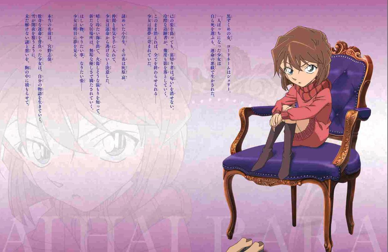 Detective Conan: Secret Archives Ai Haibara (Japanese Edition)