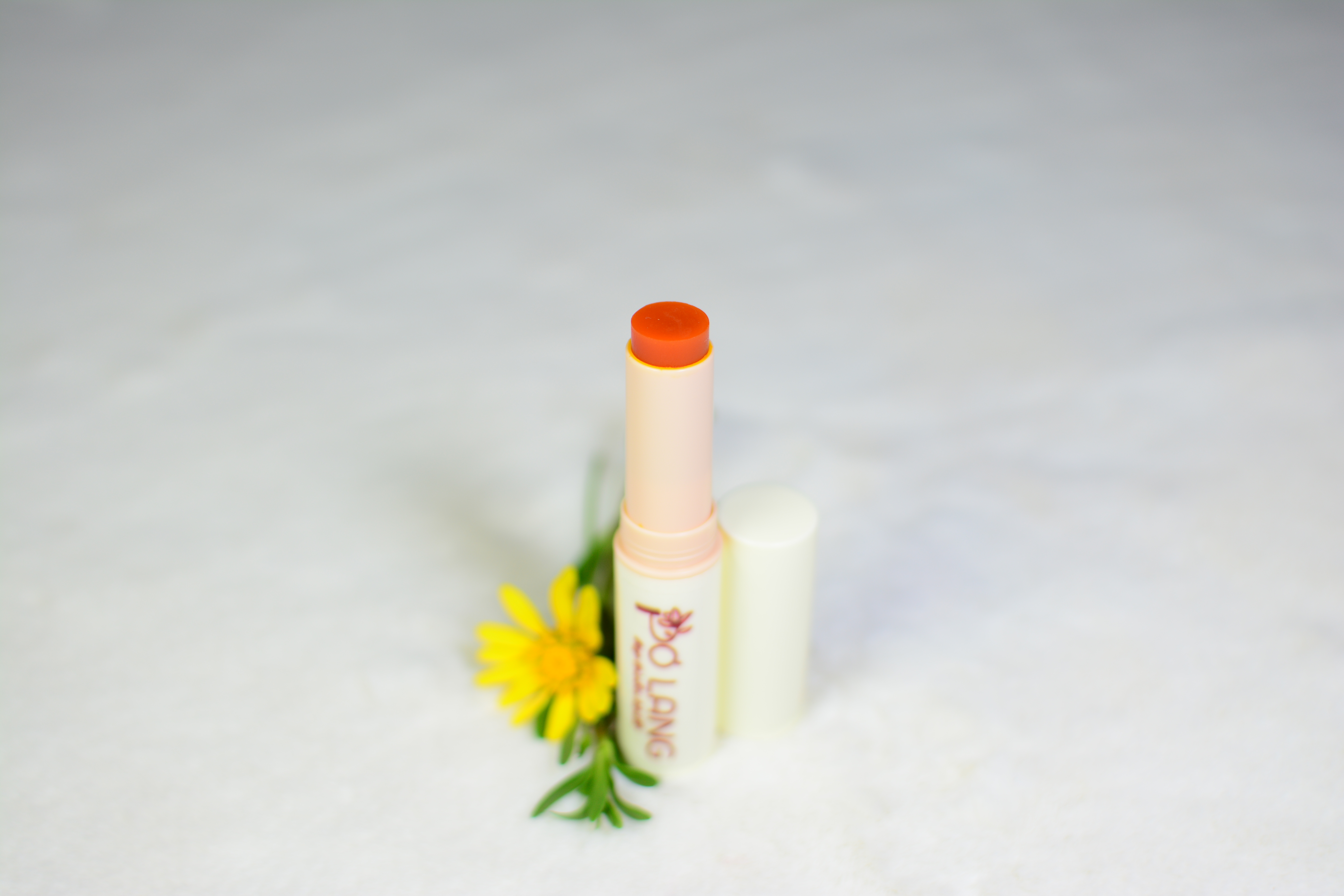 Combo Khỏe Đẹp - 3 Hộp  Nước Đông Trùng Hạ Thảo Hector Collagen Trẻ Hóa Da, Điều Hòa Nội Tiết, Tăng Sức Khỏe + Tặng 1 Son Dưỡng Pơ Lang