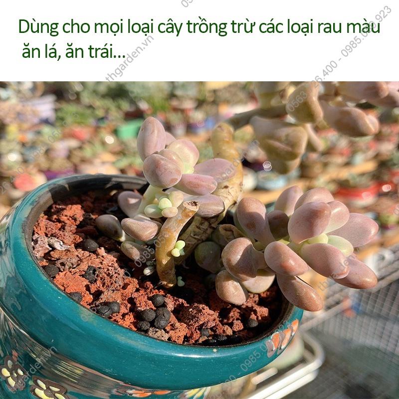 Thuốc trị rệp sáp Thái Lan gói 100g - Thuốc diệt rệp cây cảnh - Diệt rệp, côn trùng có hại cho cây - An toàn hiệu quả