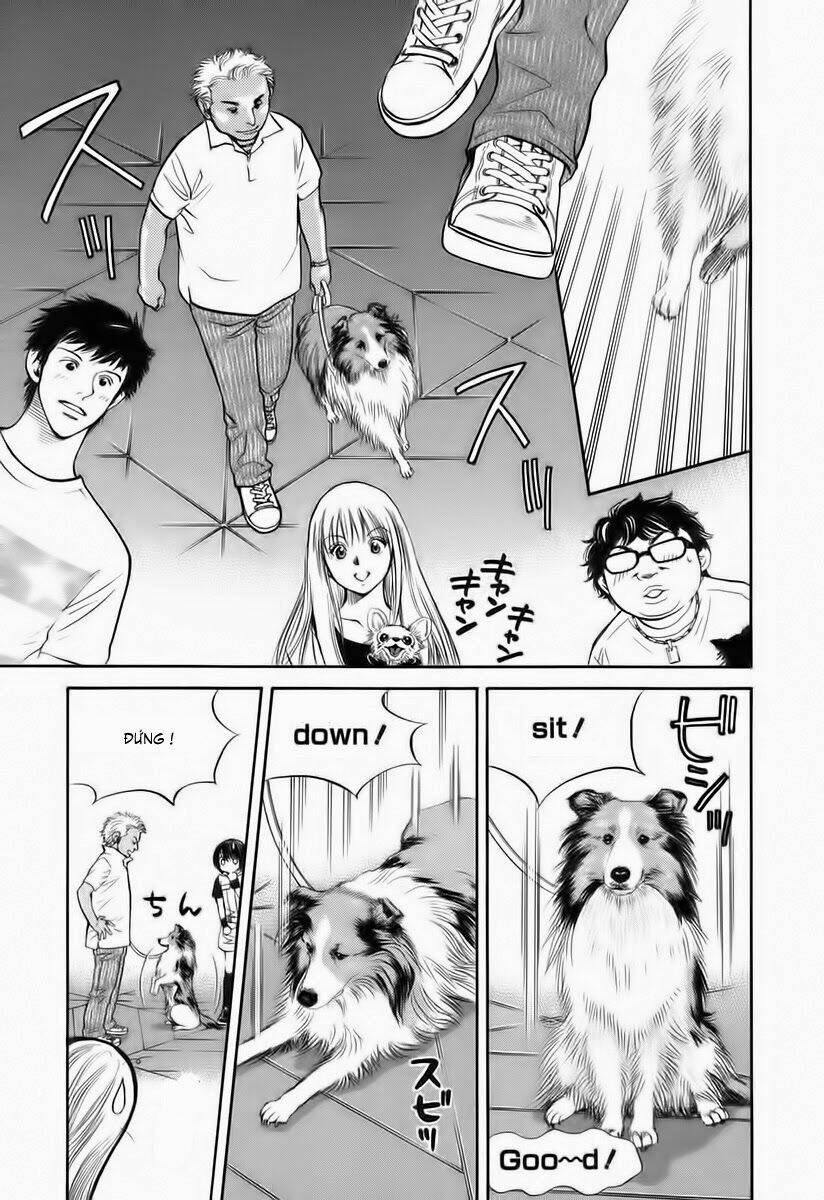 cô nàng yêu chó chapter 35 7