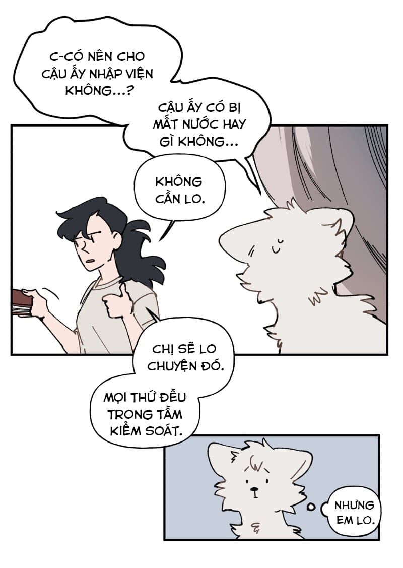 lumine - cội nguồn ánh sáng chapter 105 13