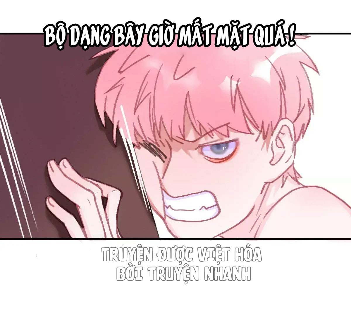 xã hội mèo chapter 2 43