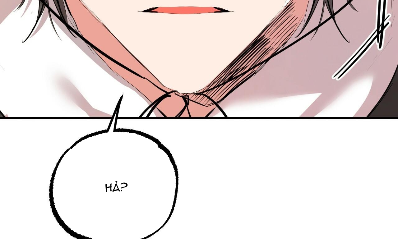 đàn thỏ của habibi chapter 30 208