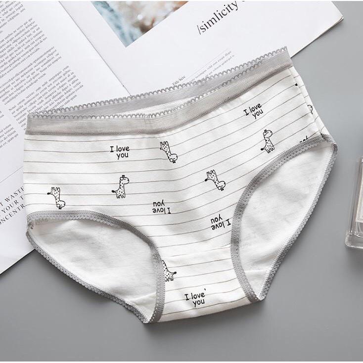 Sét 5 Quần Lót Cotton