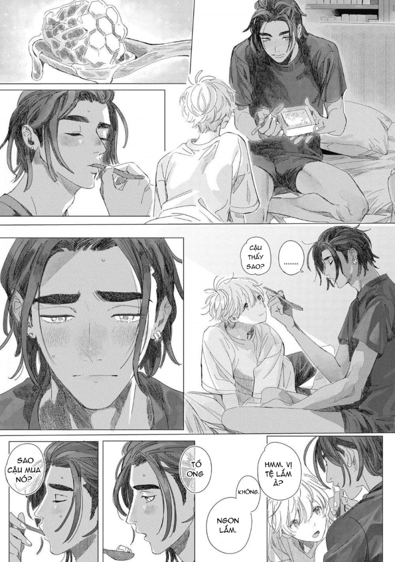 đất nước của những chú sư tử chapter 4 27