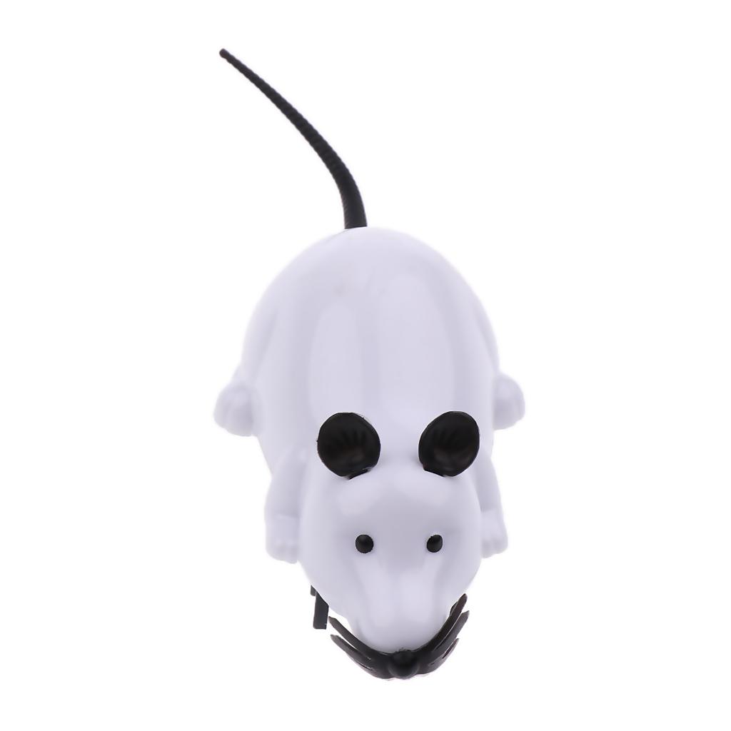 Funny Electric Running Mouse Rat Move Tail Cat Kitten Interactive Toy Black