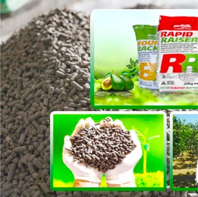Phân hữu cơ, Phân bón hữu cơ Cao Cấp - phân dạng viên nén