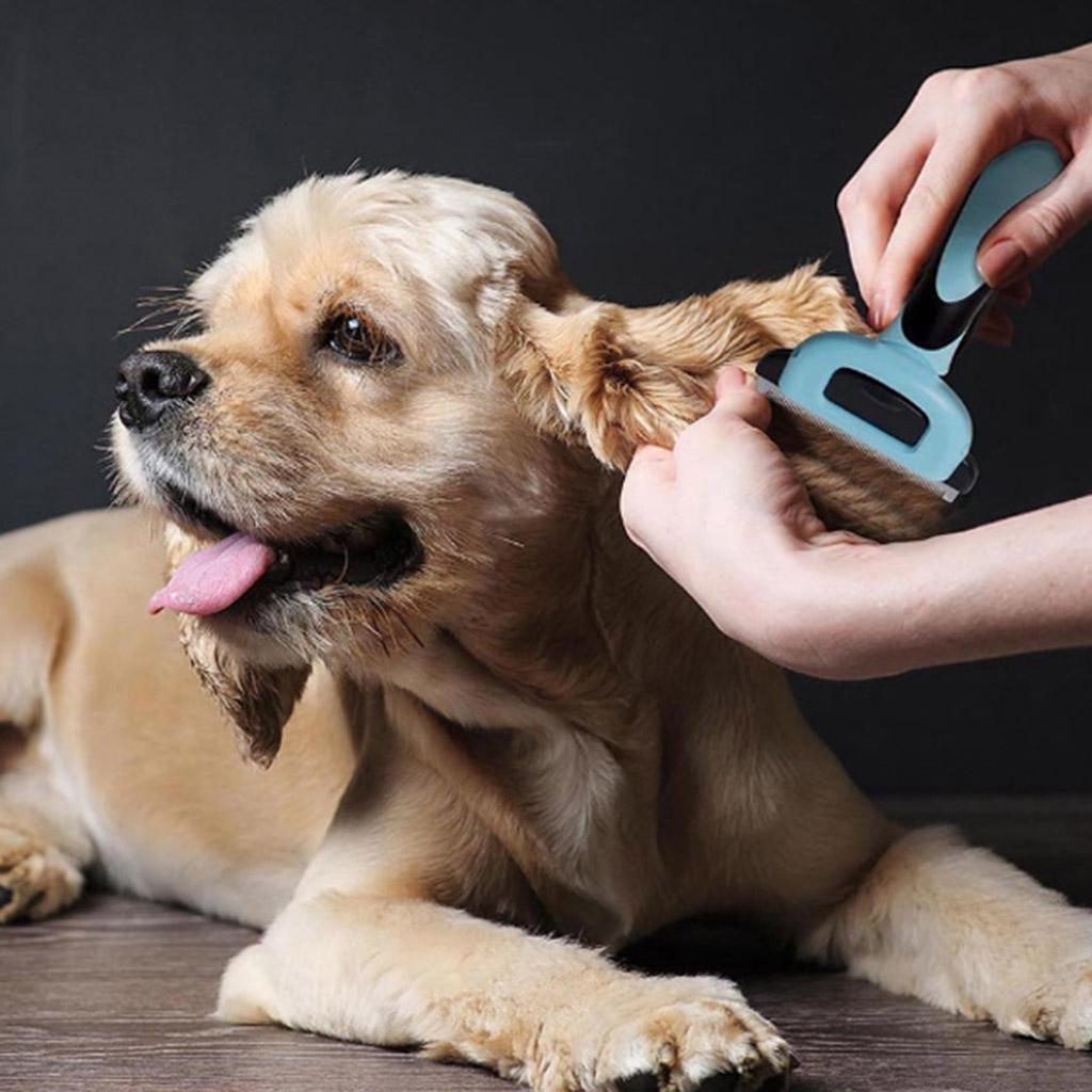 Pets Dogs Cats Hair Razor Shaver Trimmer Hair Knot Tangle Removal Grooming Kit
