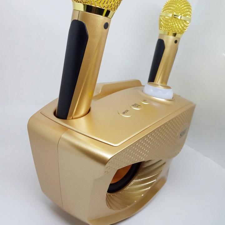 Loa Karaoke Bluetooth Kèm 2 Micro Cực Hay Mắt Cú SD 306 Plus