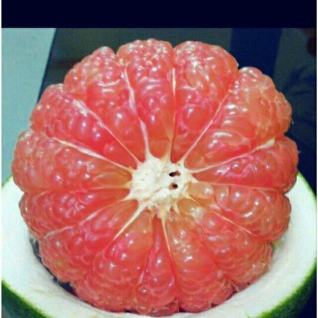 Sản phẩm BƯỞI DA XANH KHÔNG HẠT