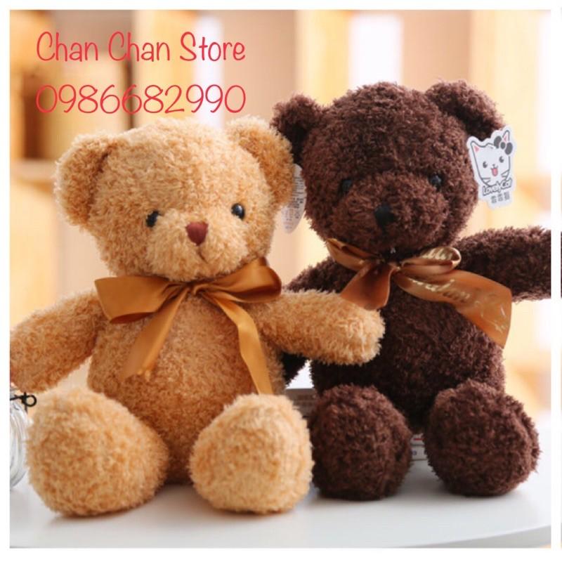 Gấu bông Teddy thắt nơ 30cm Mềm mịn cao cấp