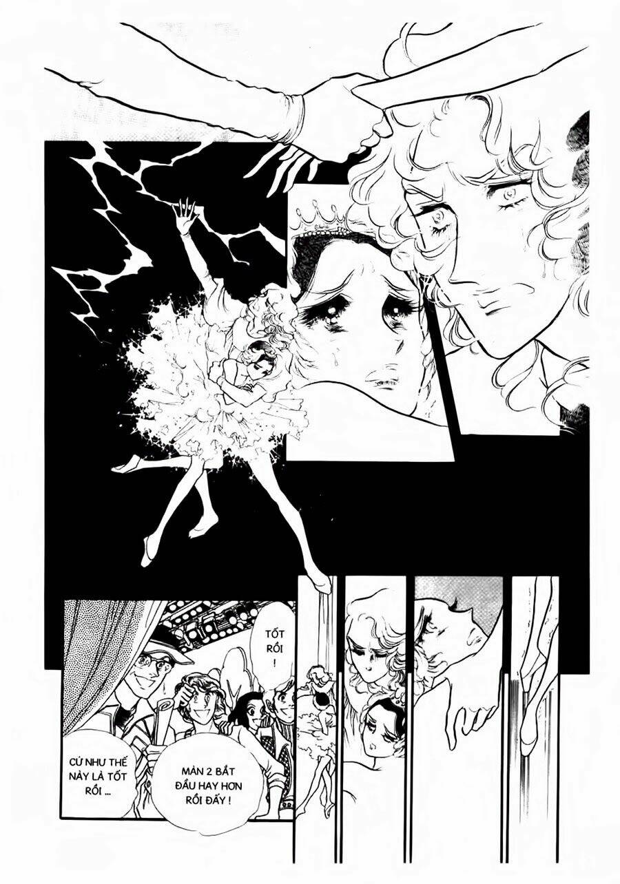 swan - vũ khúc thiên nga chapter 53 13